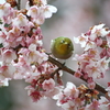 春からの視線