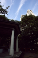新宿中央公園 富士見台 六角堂