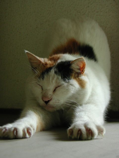 のび