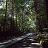 木漏れ日が落ちる参道