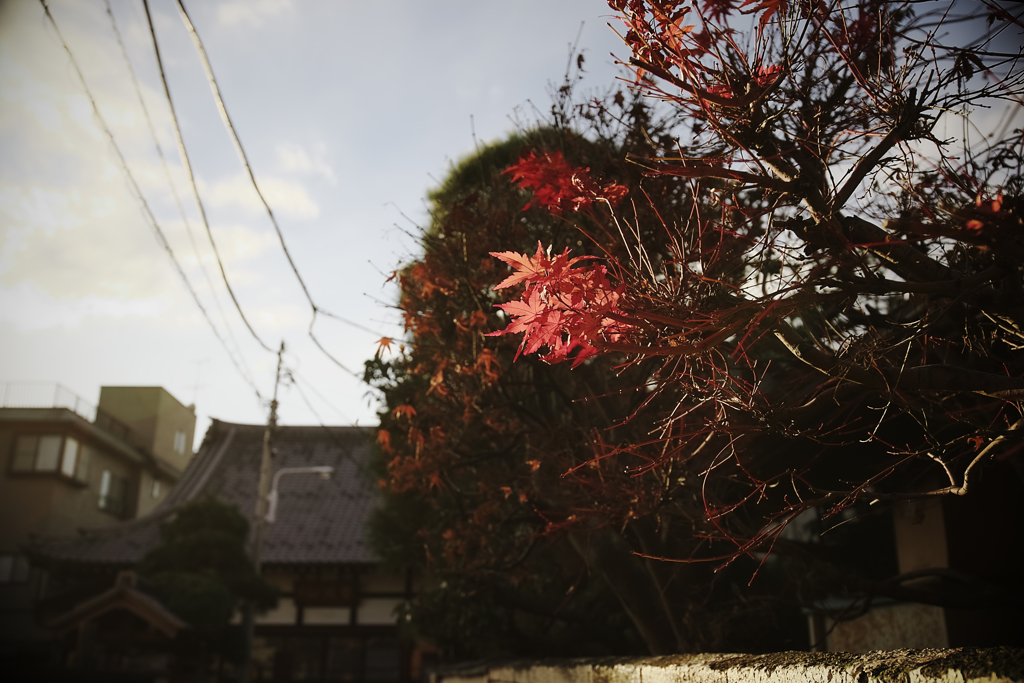 Yanaka, Tokyo