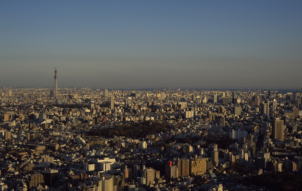 This is the city that we live in