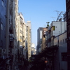 渋谷渓谷