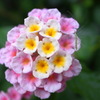 R0010953