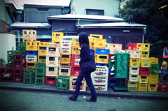 Plastic Jungle