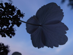 R0011849