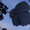 R0011849