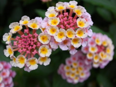 R0010949