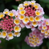 R0010949