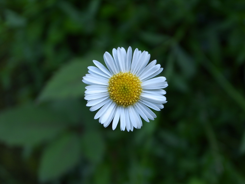 R0011563
