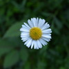 R0011563