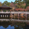 鷺池の浮見堂