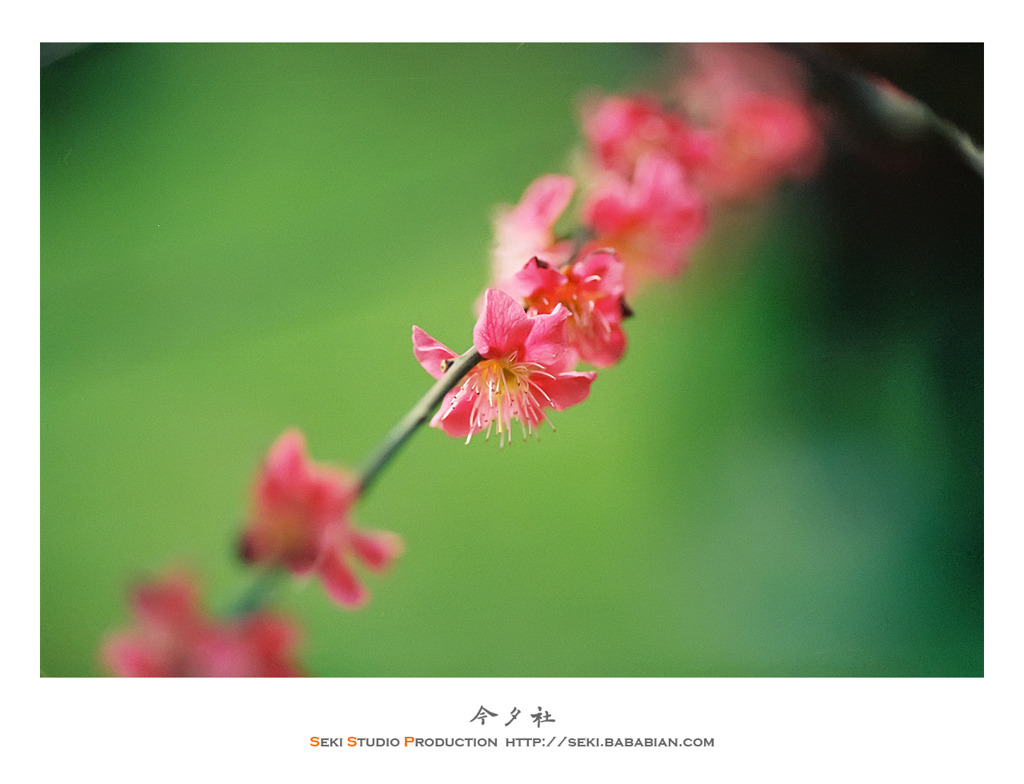 Film Vol.01