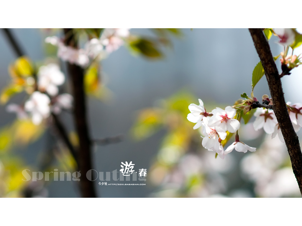 [10.04]天山公園