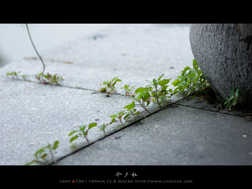 5月、烏鎮