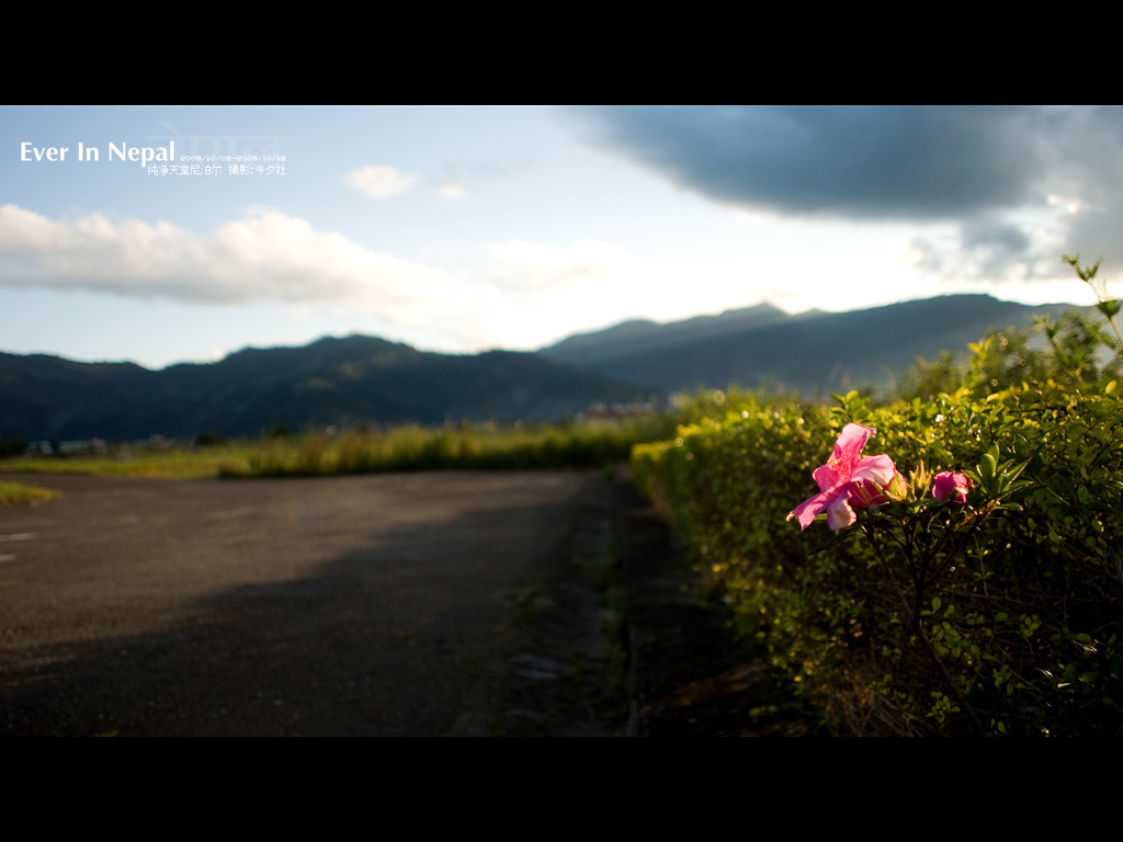 Ever in Nepal