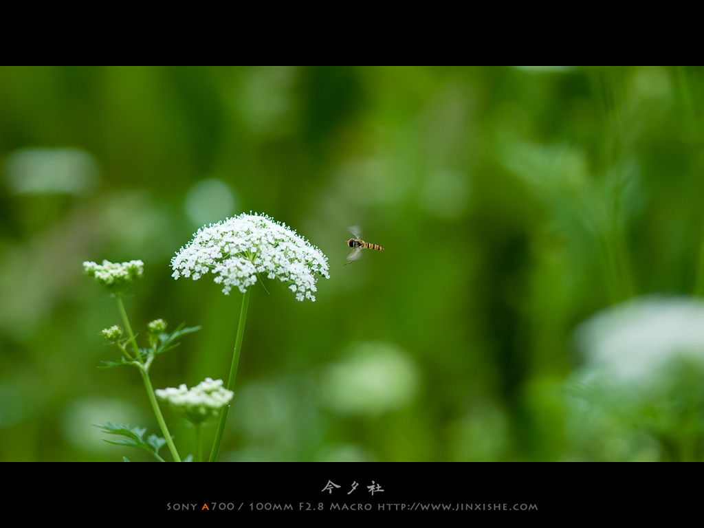 5月、烏鎮