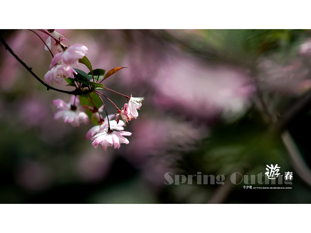 [10.04]天山公園