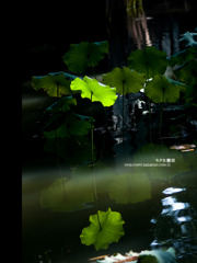 一日in成都