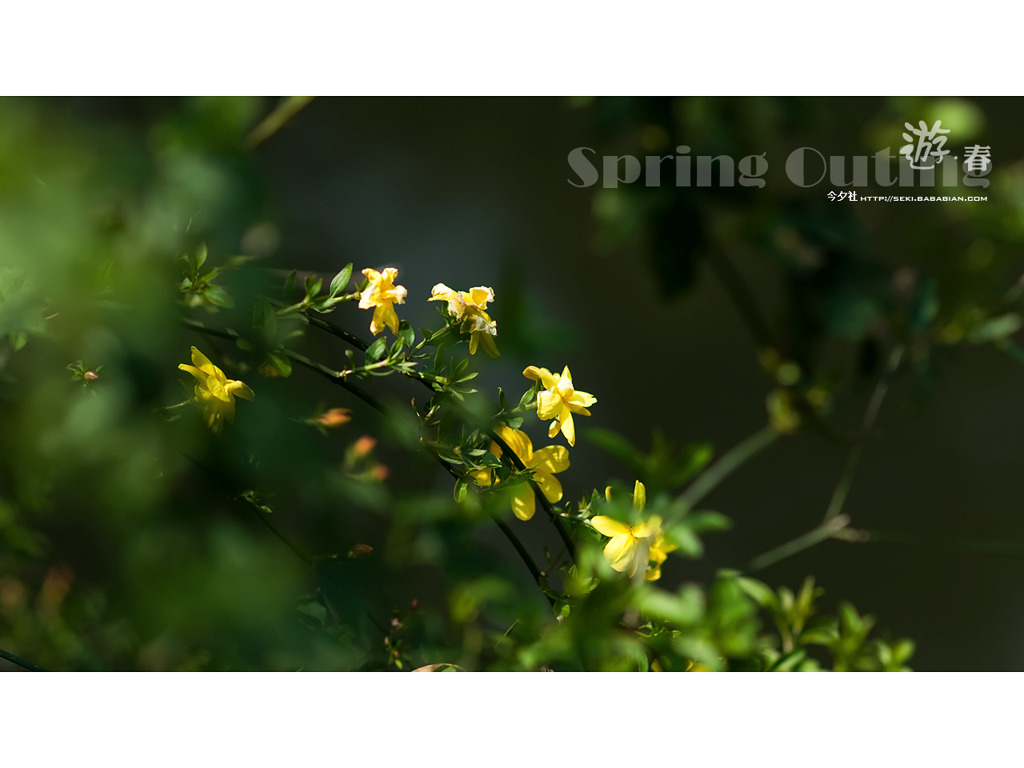 [10.04]天山公園