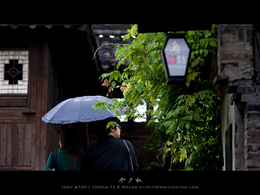 5月、烏鎮