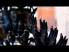 DSC08346_1280