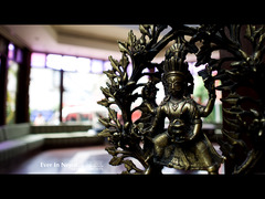 Ever In Nepal