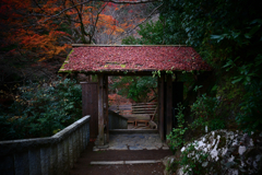 Daihikaku Senkoji temple Kyoto 2022