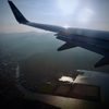 ANA 785 Final approach NGS