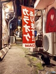 Finding Nagasaki Cat #6