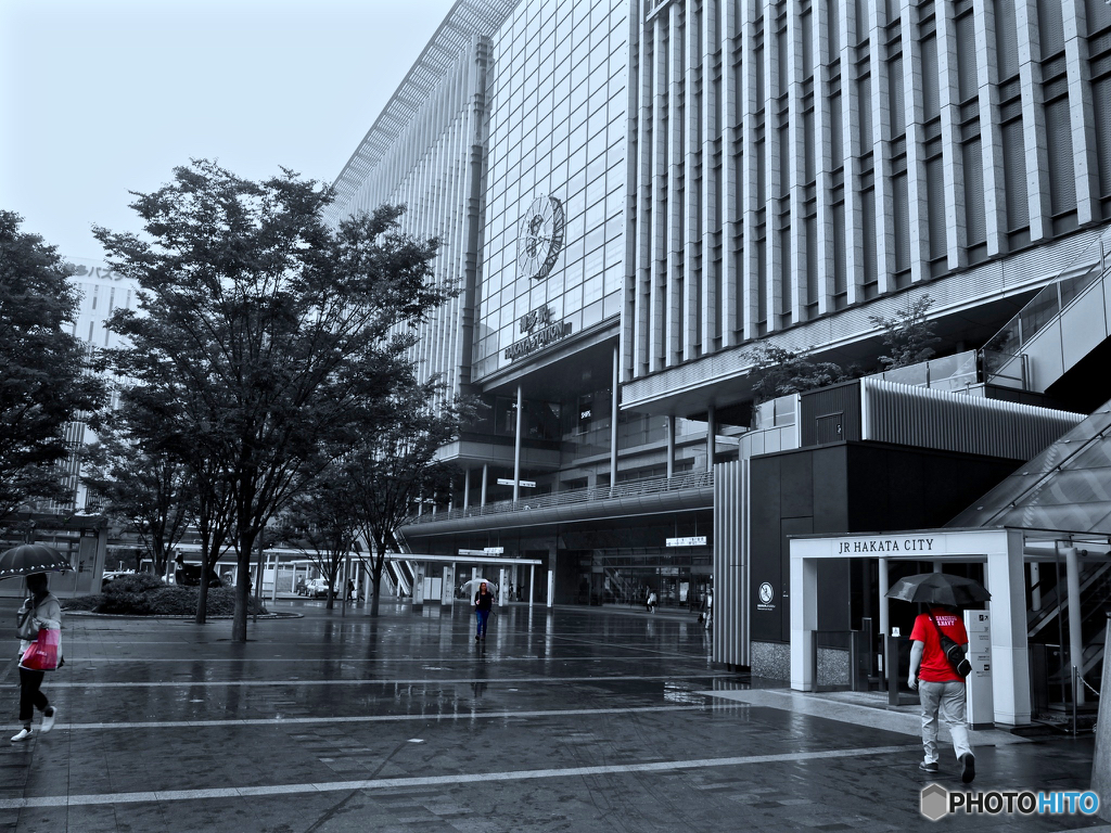 雨の景 II