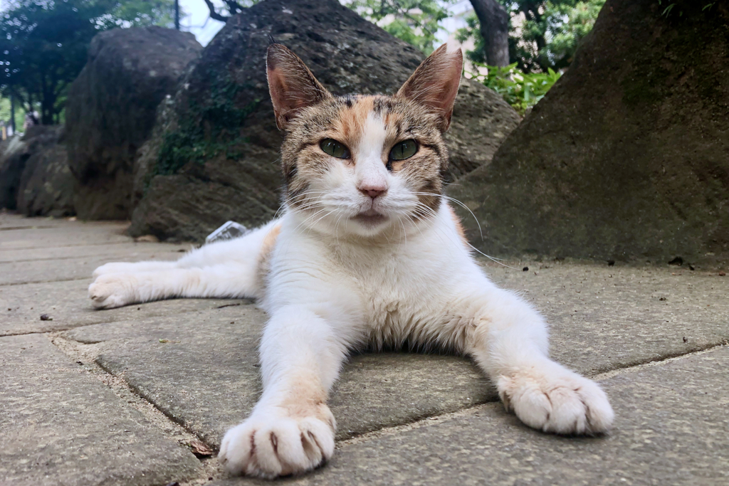 On Street, NAGASAKI III