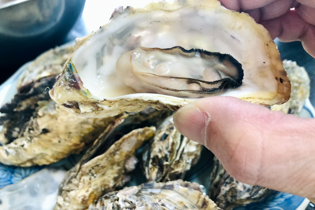 令和三年 初 焼き牡蠣（有明海産）