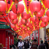 Lantern Road 2005