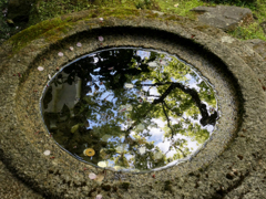 永観堂 禅林寺 昨日の見返り：水鏡