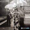 In This Corner Of The World