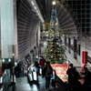 X'mas tree, Kyoto Station build 2019
