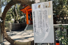 京都・八坂神社で茅の輪くぐり、しようぜ（笑）