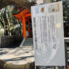 京都・八坂神社で茅の輪くぐり、しようぜ（笑）