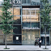 Tokyo Move : Tiffany Ginza 2020