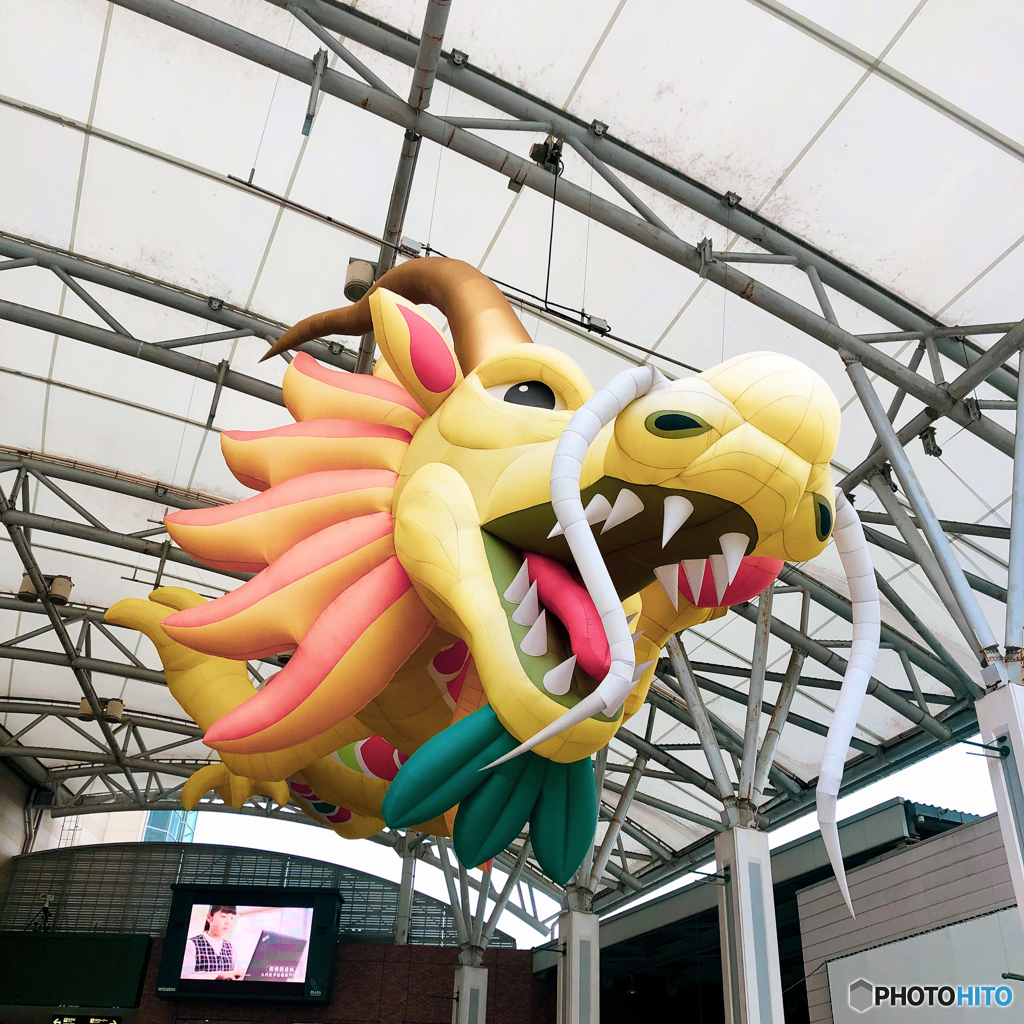 Reboot, AMU DRAGON
