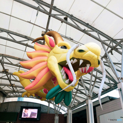 Reboot, AMU DRAGON