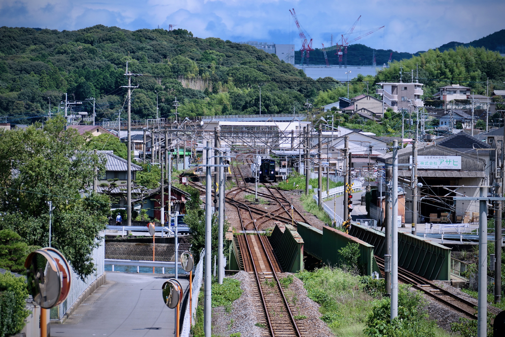 橋の上から rambling with Leica