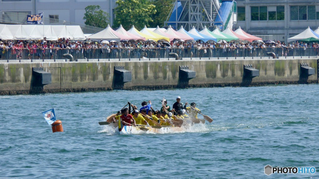 本日の：長崎ペーロン選手権大会