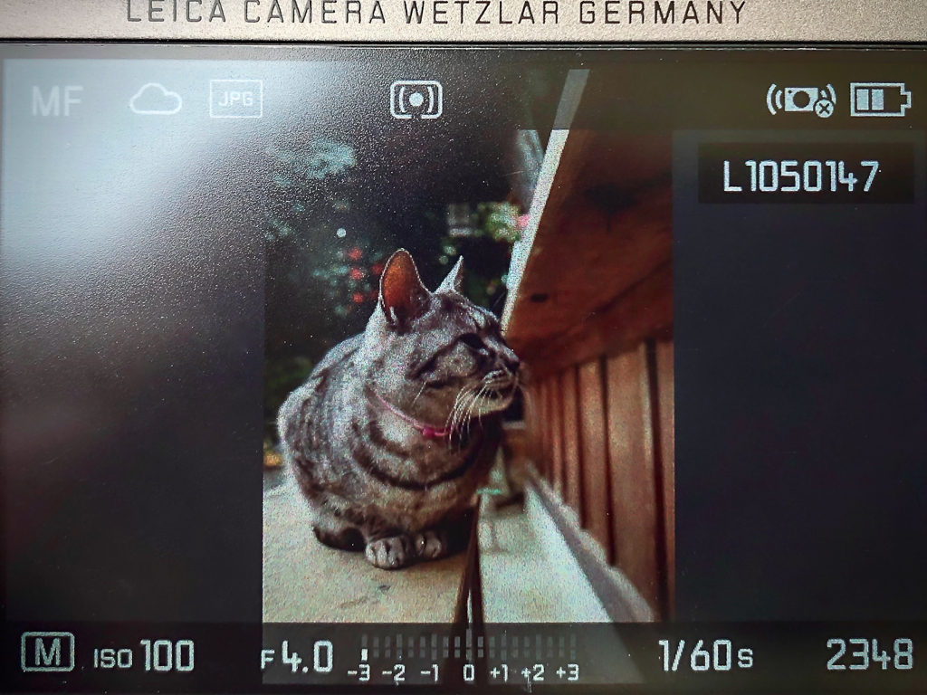 きのう何写した？