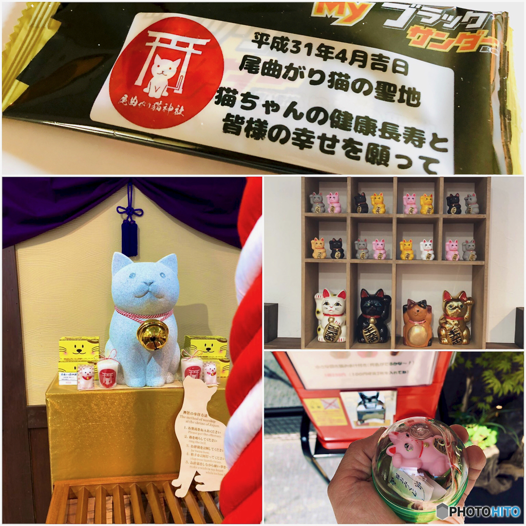 Finding Nagasaki Cat extra : 猫神社