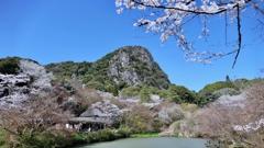 令和七年 四月 御船山・春