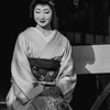Miyagawacho Geiko Toshiemi