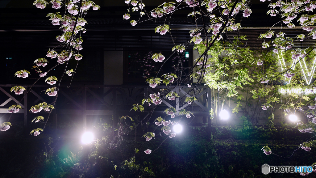 Night time in kyoto