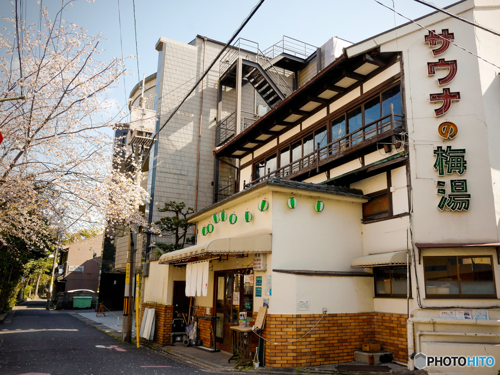 京都 高瀬川沿い 木屋町通り